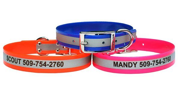 Image of ID collars for dogs.