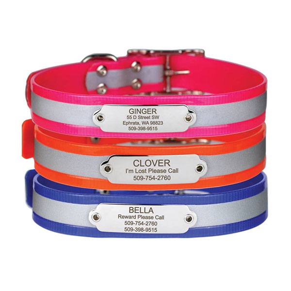 Image of GoTags identification collars for dogs.