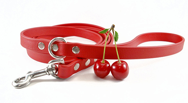 Image of a custom dog leash. Dog Walkies makes personalized leashes for dogs.