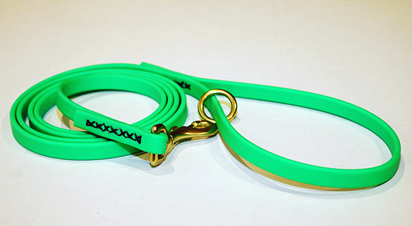 Image of a leash made of coated webbing