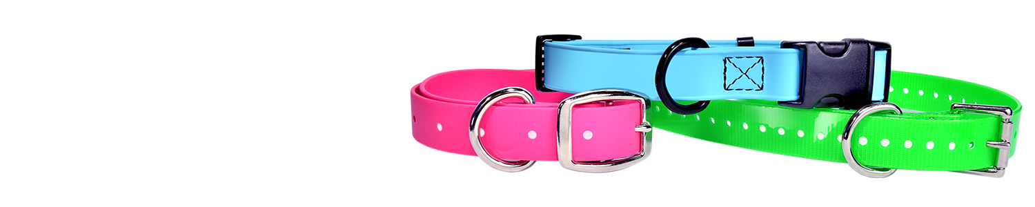 Image of the best dog collar material made by BioThane.