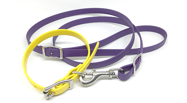 Under Control Yellow and Purple Leash