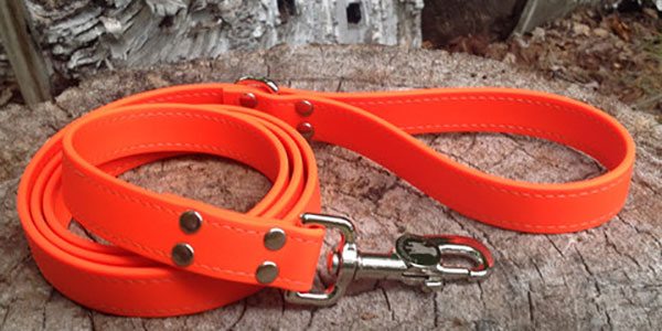 Waterproof Dog Collars & Reflective Dog Collars | BioThane Dog Collars