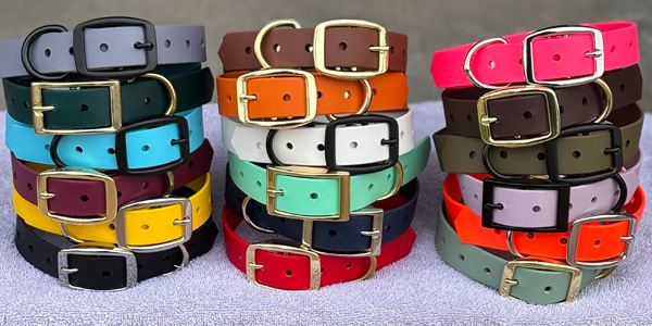 Evergreen Dog Co. Collar