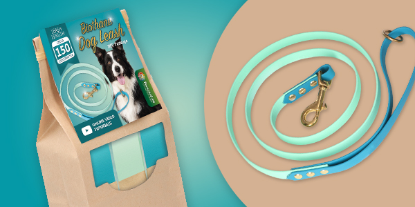 Dog collar leash kit made with BioThane