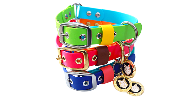 pack of puppy collars
