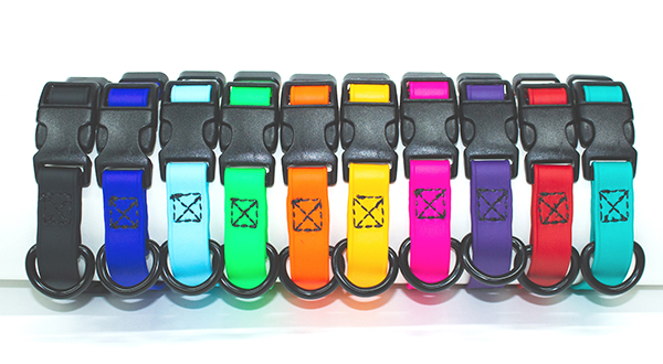Collars, Leashes, and Harnesses for Dogs