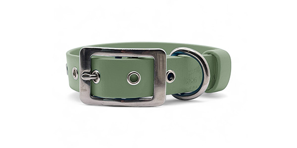 Dog Town Collars Green Collar