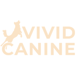 Vivid Canine logo